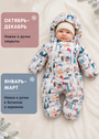 Зимний комбинезон Альбион фото 